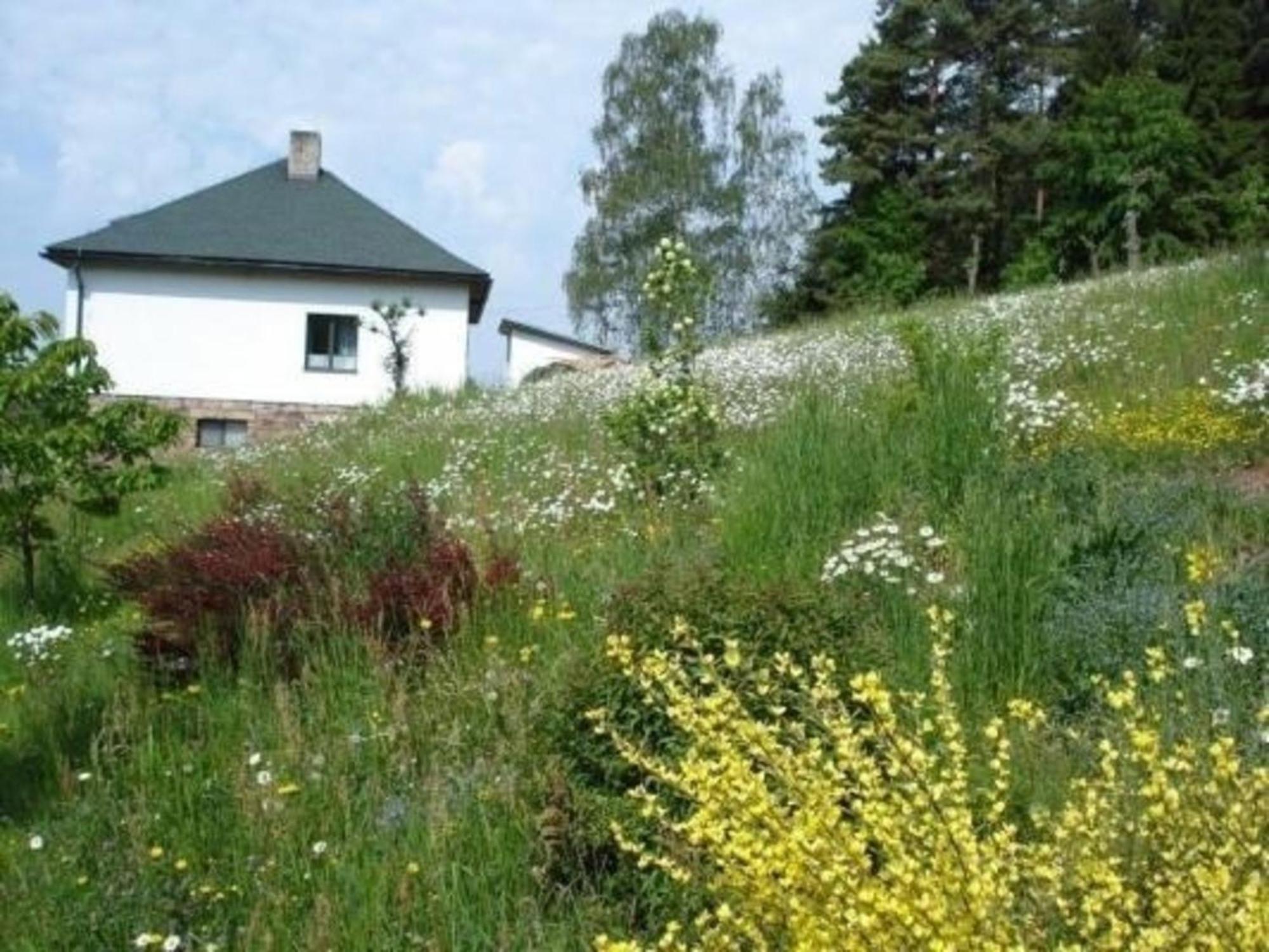 Ein Ferienhaus Mit Terrasse Und Garten Male Svatonovice Exterior foto